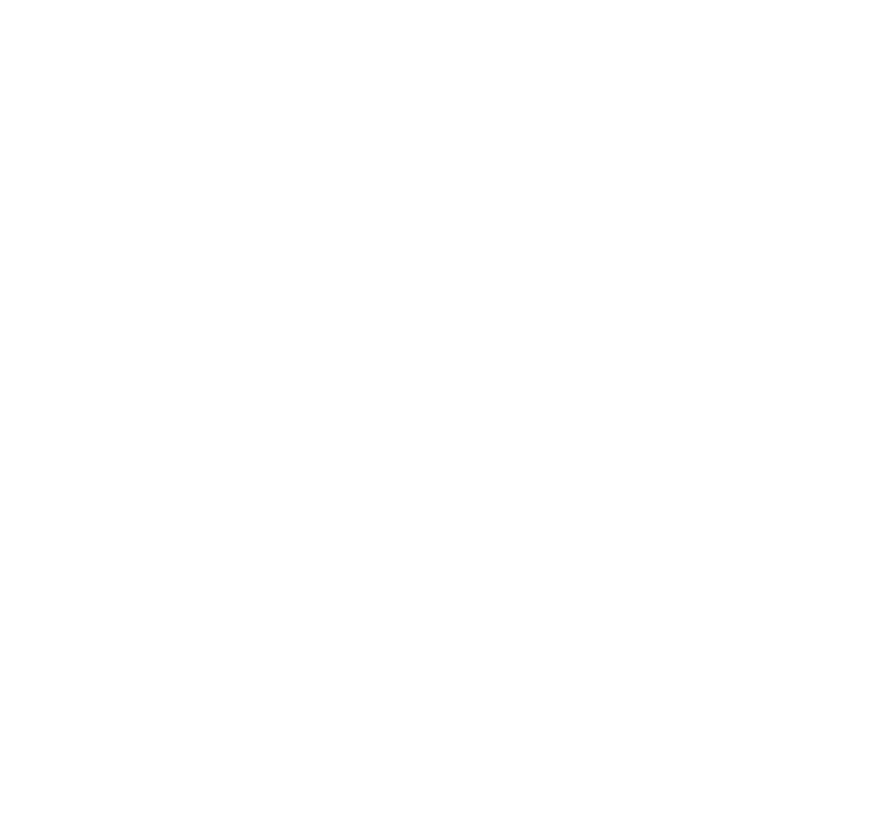 XRISE AI · AI Systems India
